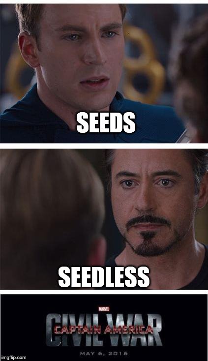 SEEDS SEEDLESS | made w/ Imgflip meme maker