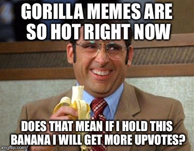 Steve Carell Banana | GORILLA MEMES ARE SO HOT RIGHT NOW; DOES THAT MEAN IF I HOLD THIS BANANA I WILL GET MORE UPVOTES? | image tagged in steve carell banana | made w/ Imgflip meme maker