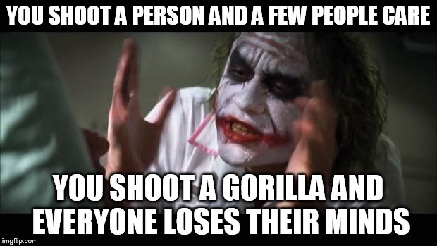 Since why do people care more about animals than humans? | YOU SHOOT A PERSON AND A FEW PEOPLE CARE; YOU SHOOT A GORILLA AND EVERYONE LOSES THEIR MINDS | image tagged in memes,and everybody loses their minds,gorilla | made w/ Imgflip meme maker