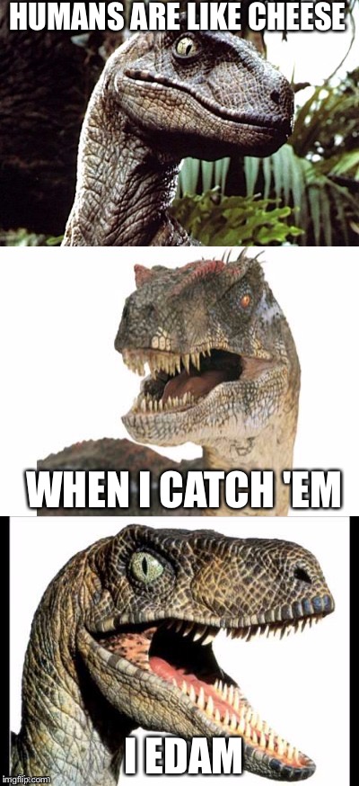 Bad Pun Velociraptor | HUMANS ARE LIKE CHEESE; WHEN I CATCH 'EM; I EDAM | image tagged in bad pun velociraptor | made w/ Imgflip meme maker