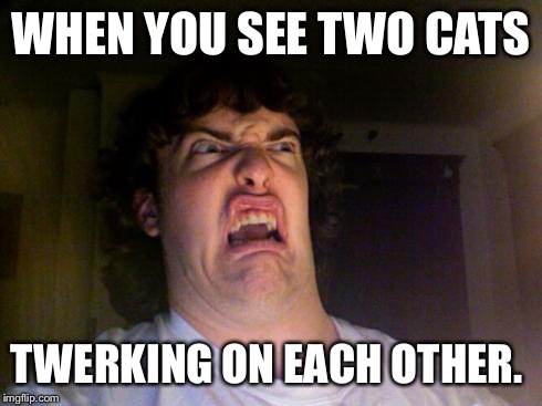Oh No | WHEN YOU SEE TWO CATS; TWERKING ON EACH OTHER. | image tagged in oh no | made w/ Imgflip meme maker