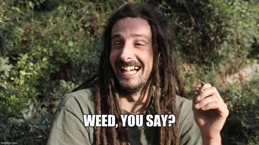 WEED, YOU SAY? | made w/ Imgflip meme maker