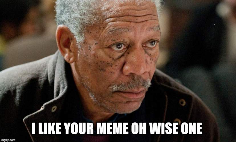Morgan Freeman | I LIKE YOUR MEME OH WISE ONE | image tagged in morgan freeman | made w/ Imgflip meme maker