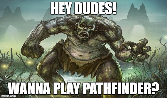 HEY DUDES! WANNA PLAY PATHFINDER? | image tagged in memes | made w/ Imgflip meme maker