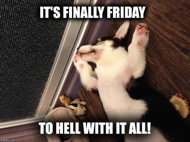 To Hell With It All | IT'S FINALLY FRIDAY; TO HELL WITH IT ALL! | image tagged in tgif,dog | made w/ Imgflip meme maker