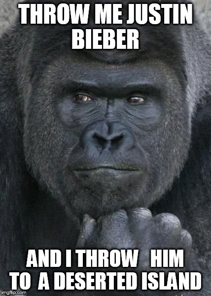 Handsome Gorilla | THROW ME JUSTIN BIEBER; AND I THROW   HIM TO  A DESERTED ISLAND | image tagged in handsome gorilla | made w/ Imgflip meme maker