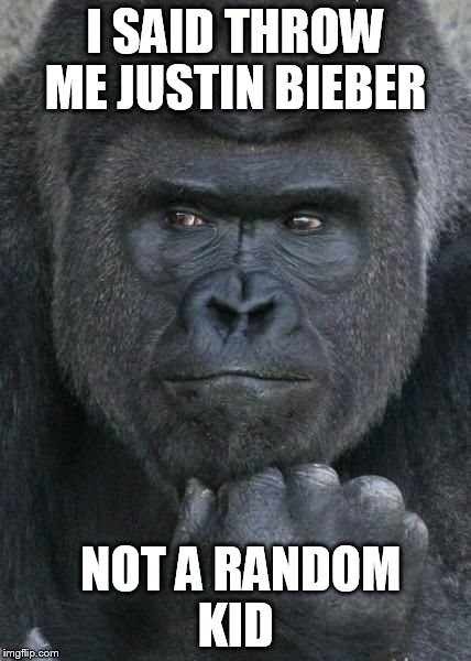 Handsome Gorilla | I SAID THROW ME JUSTIN BIEBER; NOT A RANDOM KID | image tagged in handsome gorilla | made w/ Imgflip meme maker