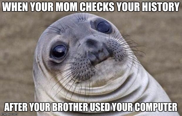 Awkward Moment Sealion Meme | WHEN YOUR MOM CHECKS YOUR HISTORY; AFTER YOUR BROTHER USED YOUR COMPUTER | image tagged in memes,awkward moment sealion,computer,brother | made w/ Imgflip meme maker