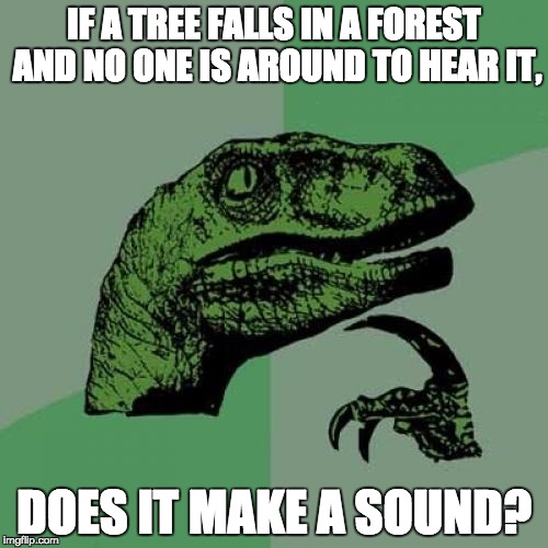 Philosoraptor Meme | IF A TREE FALLS IN A FOREST AND NO ONE IS AROUND TO HEAR IT, DOES IT MAKE A SOUND? | image tagged in memes,philosoraptor | made w/ Imgflip meme maker