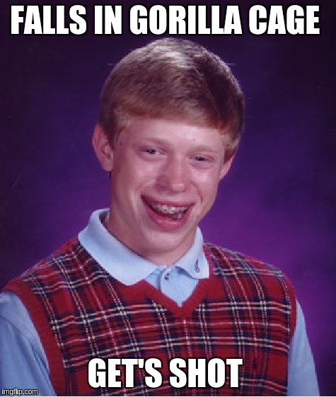 Bad Luck Brian Meme | FALLS IN GORILLA CAGE; GET'S SHOT | image tagged in memes,bad luck brian | made w/ Imgflip meme maker