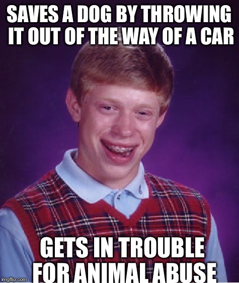 Bad Luck Brian | SAVES A DOG BY THROWING IT OUT OF THE WAY OF A CAR; GETS IN TROUBLE FOR ANIMAL ABUSE | image tagged in memes,bad luck brian | made w/ Imgflip meme maker