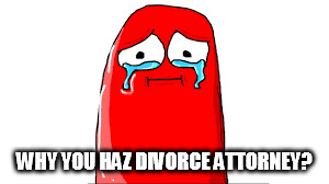  WHY YOU HAZ DIVORCE ATTORNEY? | made w/ Imgflip meme maker