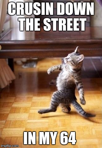 Cool Cat Stroll Meme | CRUSIN DOWN THE STREET; IN MY 64 | image tagged in memes,cool cat stroll | made w/ Imgflip meme maker