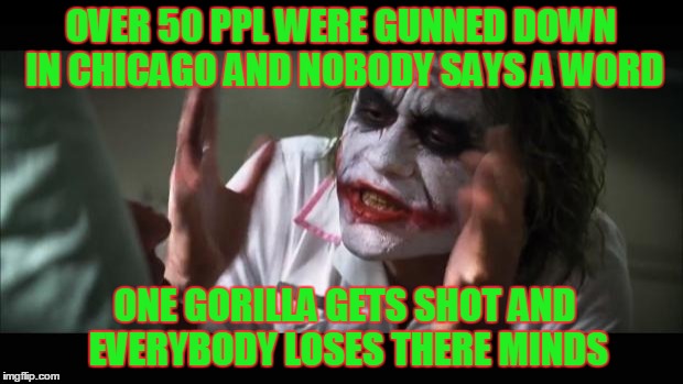 And everybody loses their minds | OVER 50 PPL WERE GUNNED DOWN IN CHICAGO AND NOBODY SAYS A WORD; ONE GORILLA GETS SHOT AND EVERYBODY LOSES THERE MINDS | image tagged in memes,and everybody loses their minds | made w/ Imgflip meme maker