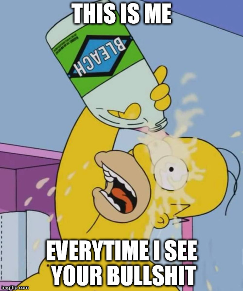 Homer with bleach | THIS IS ME; EVERYTIME I SEE YOUR BULLSHIT | image tagged in homer with bleach,homer simpson,bleach | made w/ Imgflip meme maker