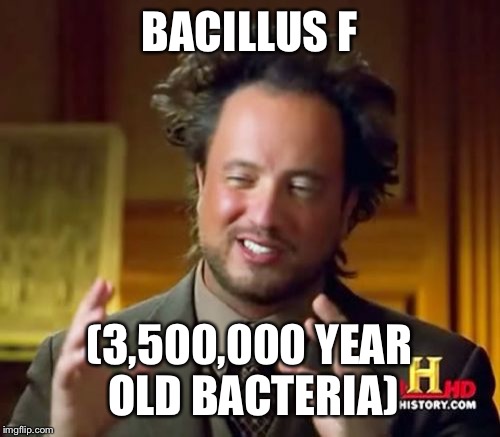 Ancient Aliens | BACILLUS F; (3,500,000 YEAR OLD BACTERIA) | image tagged in memes,ancient aliens | made w/ Imgflip meme maker