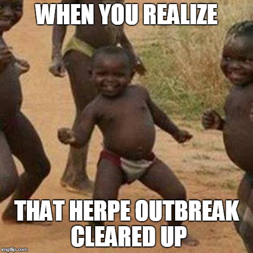 Third World Success Kid | WHEN YOU REALIZE; THAT HERPE OUTBREAK CLEARED UP | image tagged in memes,third world success kid | made w/ Imgflip meme maker