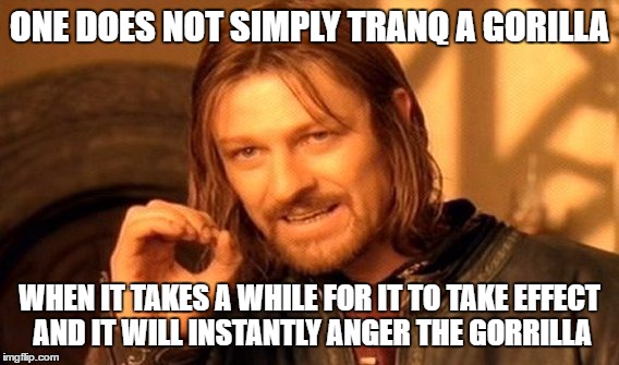 One Does Not Simply Meme | ONE DOES NOT SIMPLY TRANQ A GORILLA WHEN IT TAKES A WHILE FOR IT TO TAKE EFFECT AND IT WILL INSTANTLY ANGER THE GORRILLA | image tagged in memes,one does not simply | made w/ Imgflip meme maker