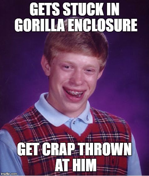 Bad Luck Brian | GETS STUCK IN GORILLA ENCLOSURE; GET CRAP THROWN AT HIM | image tagged in memes,bad luck brian | made w/ Imgflip meme maker
