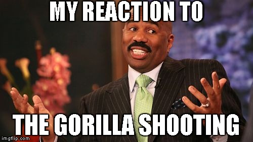 SERIOUSLY GET OVER IT | MY REACTION TO; THE GORILLA SHOOTING | image tagged in memes,steve harvey | made w/ Imgflip meme maker