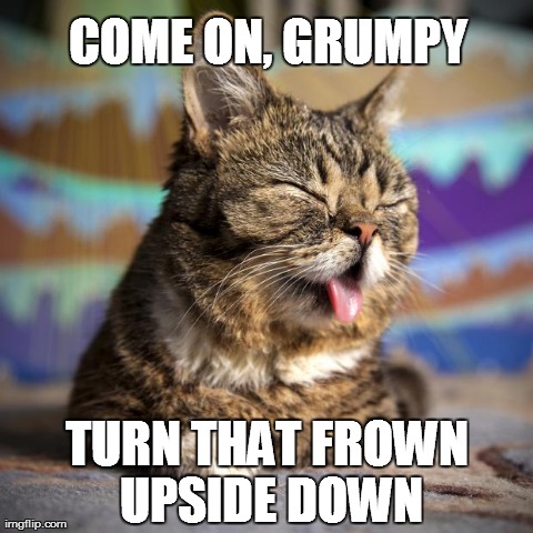 COME ON, GRUMPY TURN THAT FROWN UPSIDE DOWN | image tagged in you can do it buddy | made w/ Imgflip meme maker