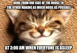 Happy Cat  | RUNS FROM ONE SIDE OF THE HOUSE TO THE OTHER MAKING AS MUCH NOISE AS POSSIBLE; AT 3:00 AM WHEN EVERYONE IS ASLEEP | image tagged in happy cat | made w/ Imgflip meme maker
