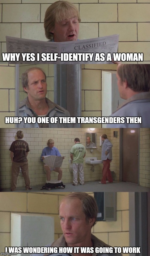 Woody Harassment | WHY YES I SELF-IDENTIFY AS A WOMAN; HUH? YOU ONE OF THEM TRANSGENDERS THEN; I WAS WONDERING HOW IT WAS GOING TO WORK | image tagged in woody harrelson | made w/ Imgflip meme maker