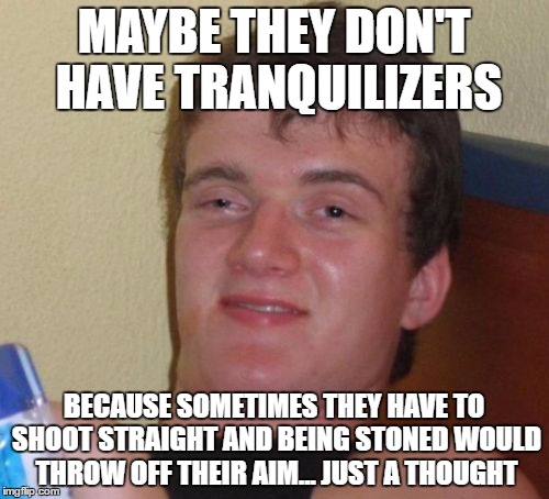 10 Guy Meme | MAYBE THEY DON'T HAVE TRANQUILIZERS BECAUSE SOMETIMES THEY HAVE TO SHOOT STRAIGHT AND BEING STONED WOULD THROW OFF THEIR AIM... JUST A THOUG | image tagged in memes,10 guy | made w/ Imgflip meme maker