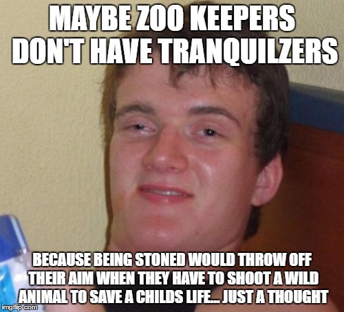 10 Guy Meme | MAYBE ZOO KEEPERS DON'T HAVE TRANQUILZERS; BECAUSE BEING STONED WOULD THROW OFF THEIR AIM WHEN THEY HAVE TO SHOOT A WILD ANIMAL TO SAVE A CHILDS LIFE... JUST A THOUGHT | image tagged in memes,10 guy | made w/ Imgflip meme maker