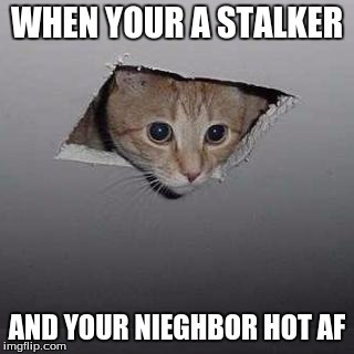 Ceiling Cat | WHEN YOUR A STALKER; AND YOUR NIEGHBOR HOT AF | image tagged in memes,ceiling cat | made w/ Imgflip meme maker