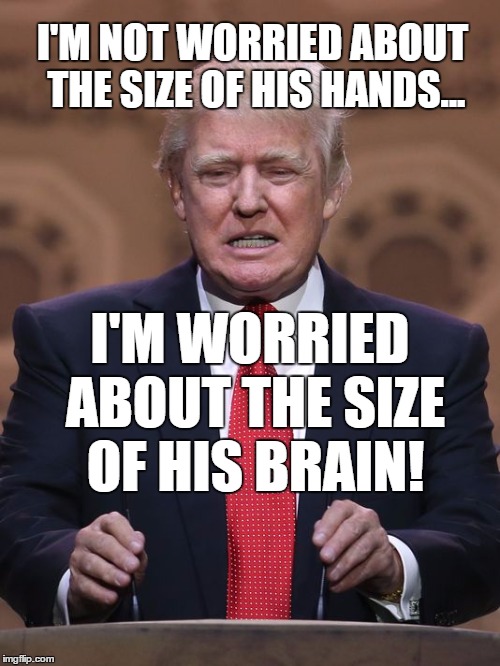 Donald Trump | I'M NOT WORRIED ABOUT THE SIZE OF HIS HANDS... I'M WORRIED ABOUT THE SIZE OF HIS BRAIN! | image tagged in donald trump | made w/ Imgflip meme maker