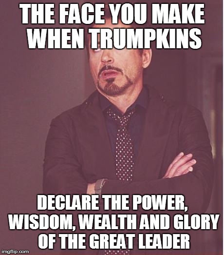 Face You Make Robert Downey Jr Meme | THE FACE YOU MAKE WHEN TRUMPKINS; DECLARE THE POWER, WISDOM, WEALTH AND GLORY OF THE GREAT LEADER | image tagged in memes,face you make robert downey jr | made w/ Imgflip meme maker