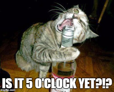 cat opening liquor bottle with mouth | IS IT 5 O'CLOCK YET?!? | image tagged in cat opening liquor bottle with mouth | made w/ Imgflip meme maker