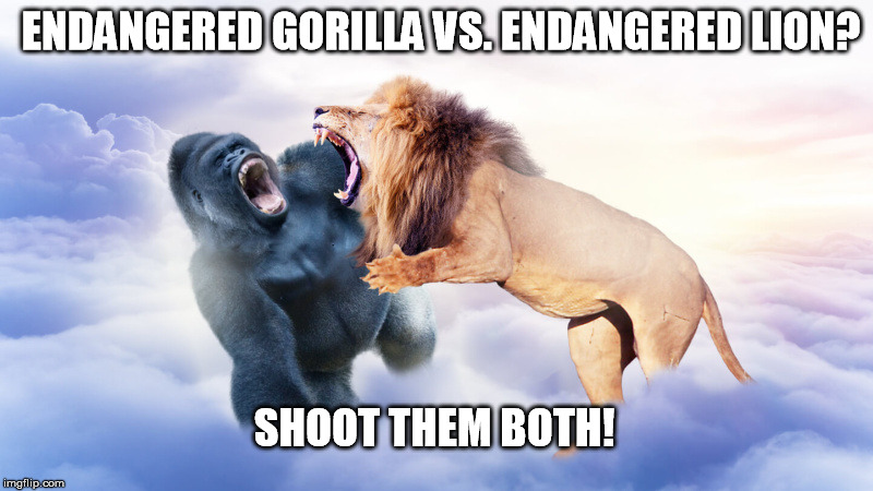Now, Now, We Mustn't Play Favorites! | ENDANGERED GORILLA VS. ENDANGERED LION? SHOOT THEM BOTH! | image tagged in cecil vs harambe,gorilla,harambe,cecil the lion | made w/ Imgflip meme maker