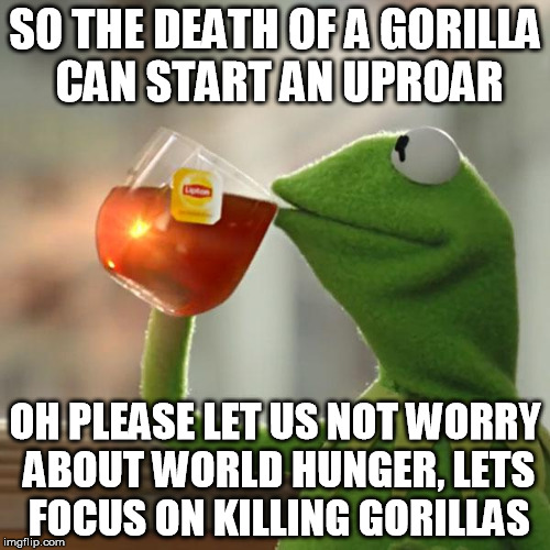 But That's None Of My Business Meme | SO THE DEATH OF A GORILLA CAN START AN UPROAR; OH PLEASE LET US NOT WORRY ABOUT WORLD HUNGER, LETS FOCUS ON KILLING GORILLAS | image tagged in memes,but thats none of my business,kermit the frog | made w/ Imgflip meme maker
