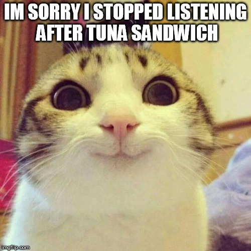 Smiling Cat Meme | IM SORRY I STOPPED LISTENING AFTER TUNA SANDWICH | image tagged in memes,smiling cat | made w/ Imgflip meme maker