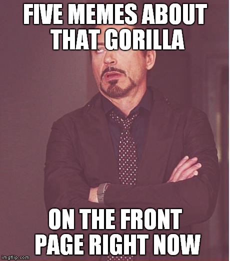 Face You Make Robert Downey Jr | FIVE MEMES ABOUT THAT GORILLA; ON THE FRONT PAGE RIGHT NOW | image tagged in memes,face you make robert downey jr | made w/ Imgflip meme maker