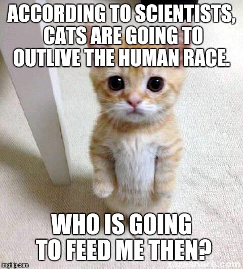 Cat science | ACCORDING TO SCIENTISTS, CATS ARE GOING TO OUTLIVE THE HUMAN RACE. WHO IS GOING TO FEED ME THEN? | image tagged in memes,cute cat | made w/ Imgflip meme maker