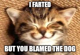 Happy Cat  | I FARTED; BUT YOU BLAMED THE DOG | image tagged in happy cat | made w/ Imgflip meme maker