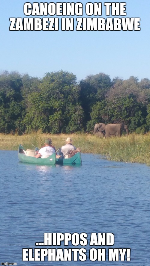 CANOEING ON THE ZAMBEZI IN ZIMBABWE; ...HIPPOS AND ELEPHANTS OH MY! | made w/ Imgflip meme maker