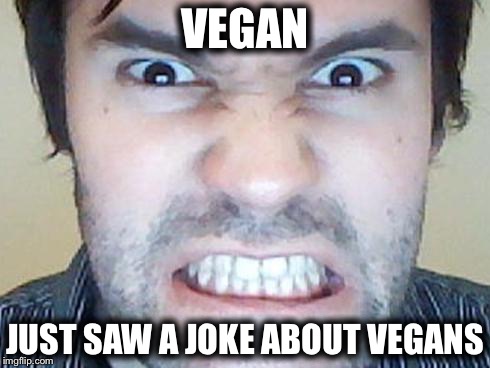 VEGAN; JUST SAW A JOKE ABOUT VEGANS | image tagged in vegan | made w/ Imgflip meme maker