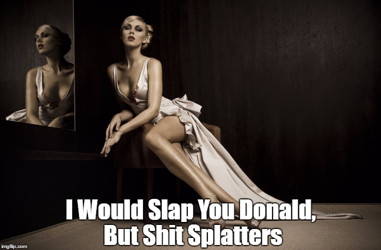 I Would Slap You Donald, But Shit Splatters | made w/ Imgflip meme maker