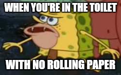 Spongegar Meme | WHEN YOU'RE IN THE TOILET; WITH NO ROLLING PAPER | image tagged in spongegar meme | made w/ Imgflip meme maker