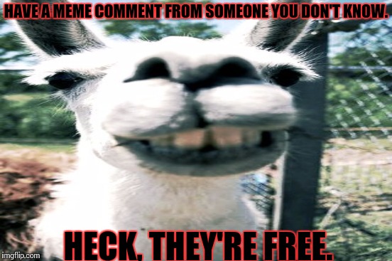 HAVE A MEME COMMENT FROM SOMEONE YOU DON'T KNOW. HECK, THEY'RE FREE. | made w/ Imgflip meme maker