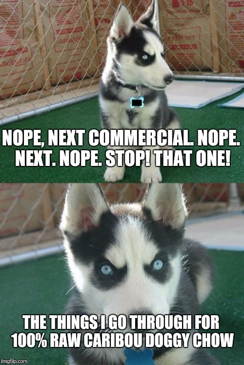 Insanity Puppy | NOPE, NEXT COMMERCIAL. NOPE. NEXT. NOPE. STOP! THAT ONE! THE THINGS I GO THROUGH FOR 100% RAW CARIBOU DOGGY CHOW | image tagged in memes,insanity puppy | made w/ Imgflip meme maker