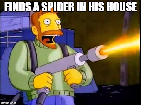 Kill it with fire | FINDS A SPIDER IN HIS HOUSE | image tagged in kill it with fire | made w/ Imgflip meme maker