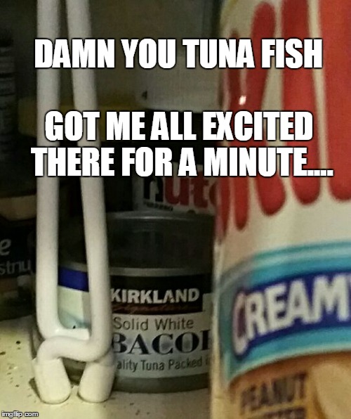 Canned Bacon  | DAMN YOU TUNA FISH; GOT ME ALL EXCITED THERE FOR A MINUTE.... | image tagged in tuna,bacon,saddness | made w/ Imgflip meme maker