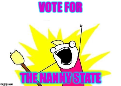 X All The Y Meme | VOTE FOR THE NANNY STATE | image tagged in memes,x all the y | made w/ Imgflip meme maker