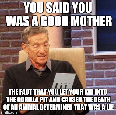 Maury Lie Detector | YOU SAID YOU WAS A GOOD MOTHER; THE FACT THAT YOU LET YOUR KID INTO THE GORILLA PIT AND CAUSED THE DEATH OF AN ANIMAL DETERMINED THAT WAS A LIE | image tagged in memes,maury lie detector | made w/ Imgflip meme maker