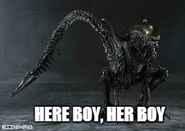 HERE BOY, HER BOY | made w/ Imgflip meme maker